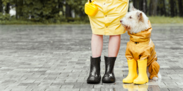 Stylish and Functional: The Ultimate Guide to Coats for Dogs