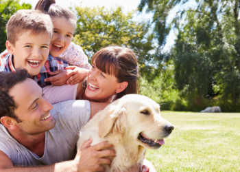 The Ultimate Family Pet: Best Dog Breeds for Every Household