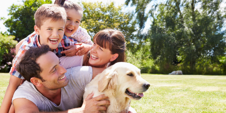 The Ultimate Family Pet: Best Dog Breeds for Every Household
