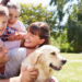 The Ultimate Family Pet: Best Dog Breeds for Every Household
