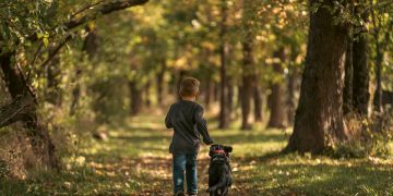 The Secrets of Dog Behavior Unleashed: A Comprehensive Guide