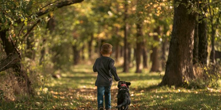 The Secrets of Dog Behavior Unleashed: A Comprehensive Guide