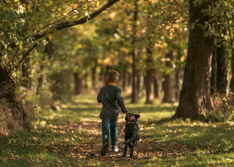 The Secrets of Dog Behavior Unleashed: A Comprehensive Guide