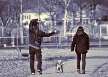 The Ultimate Guide to Choosing the Best Dog Leash for Your Pup