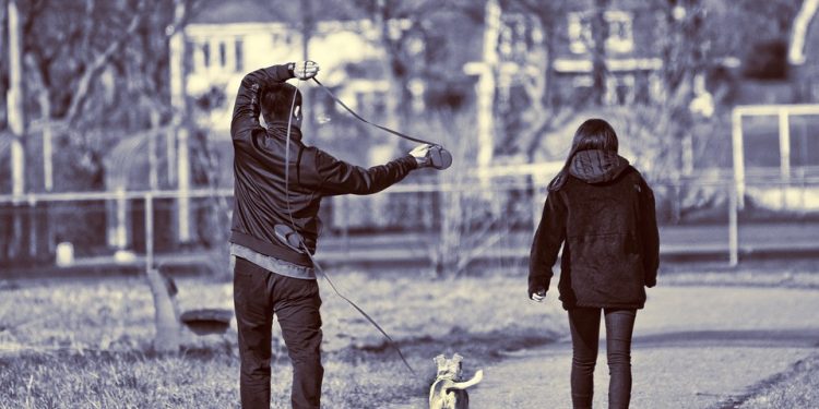 The Ultimate Guide to Choosing the Best Dog Leash for Your Pup