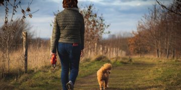 Mastering Aggression: Top Dog Training Programs Near You