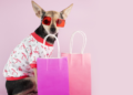 Paw-some Pooch Fashion: The Ultimate Guide to Small Dog Style