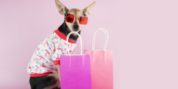 Paw-some Pooch Fashion: The Ultimate Guide to Small Dog Style