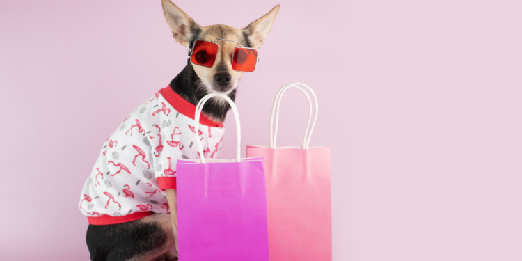 Paw-some Pooch Fashion: The Ultimate Guide to Small Dog Style